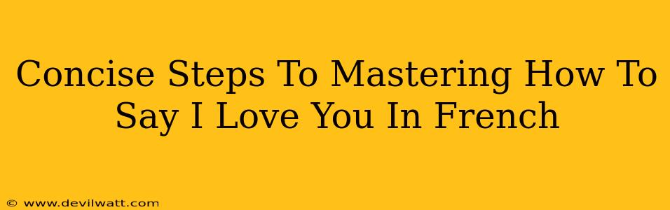 Concise Steps To Mastering How To Say I Love You In French