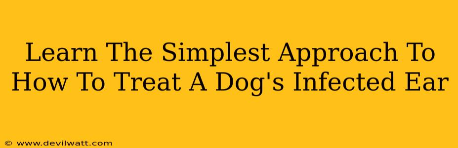 Learn The Simplest Approach To How To Treat A Dog's Infected Ear